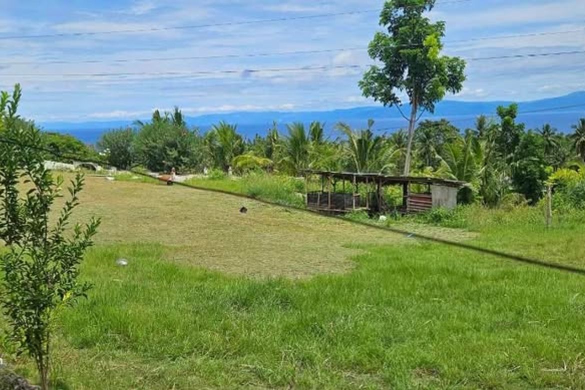 Land for Sale in Valencia, Alegria, Cebu – photo 2