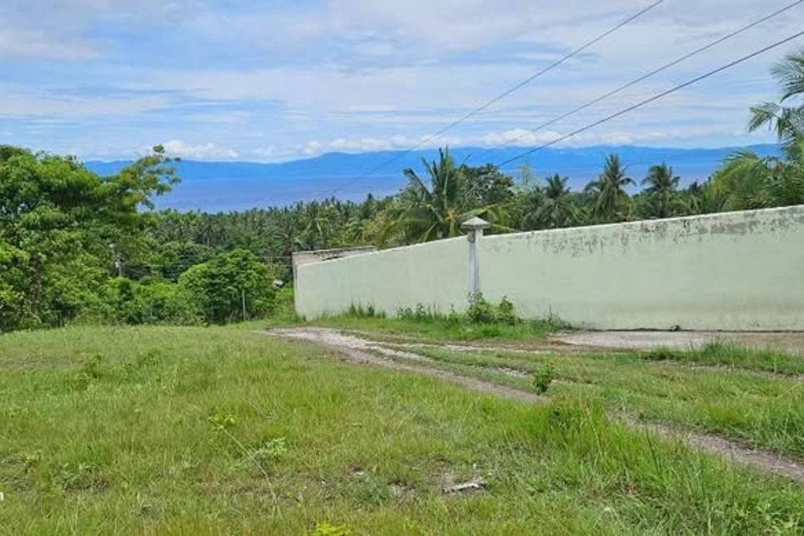 Land for Sale in Valencia, Alegria, Cebu – photo 5