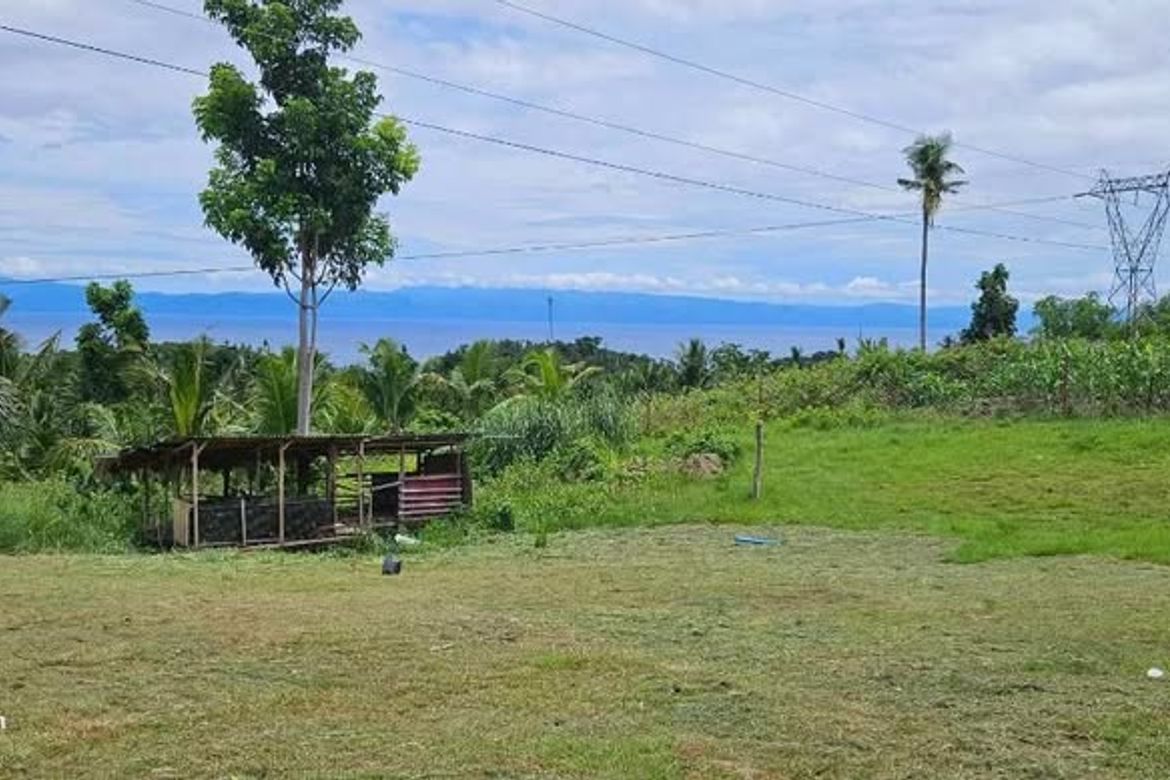 Land for Sale in Valencia, Alegria, Cebu – photo 6