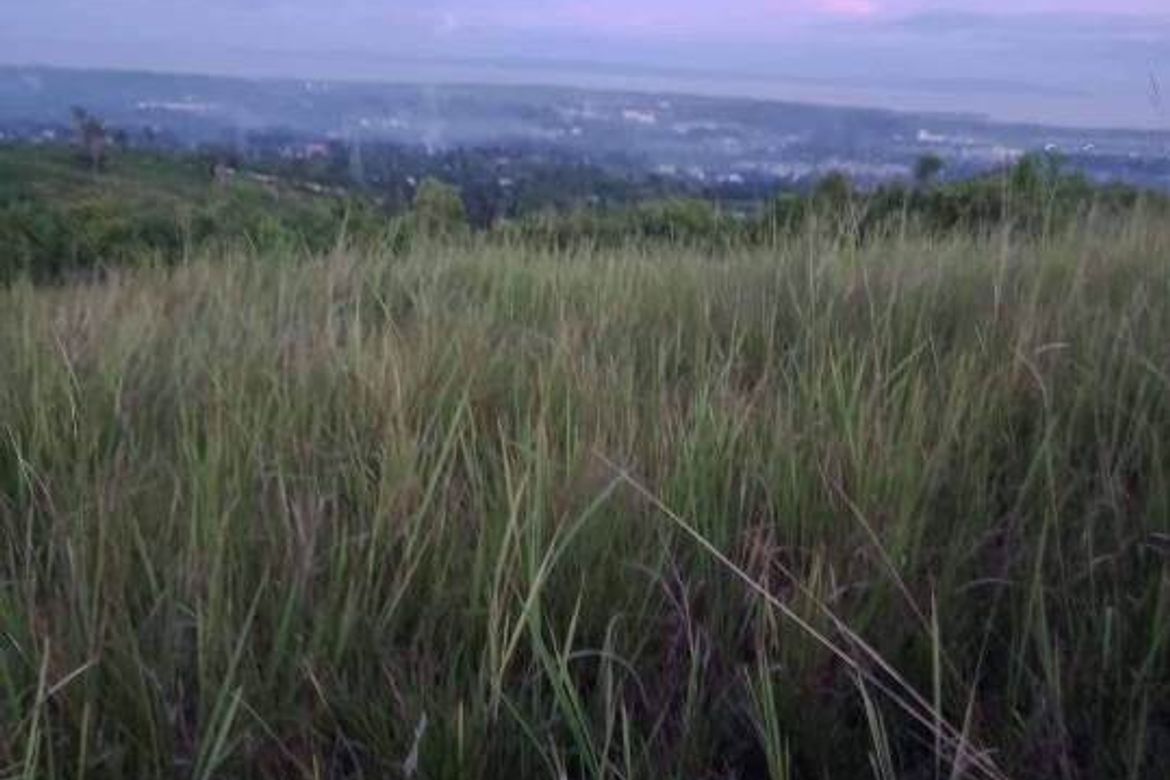Land for Sale in Valencia, Carcar, Cebu