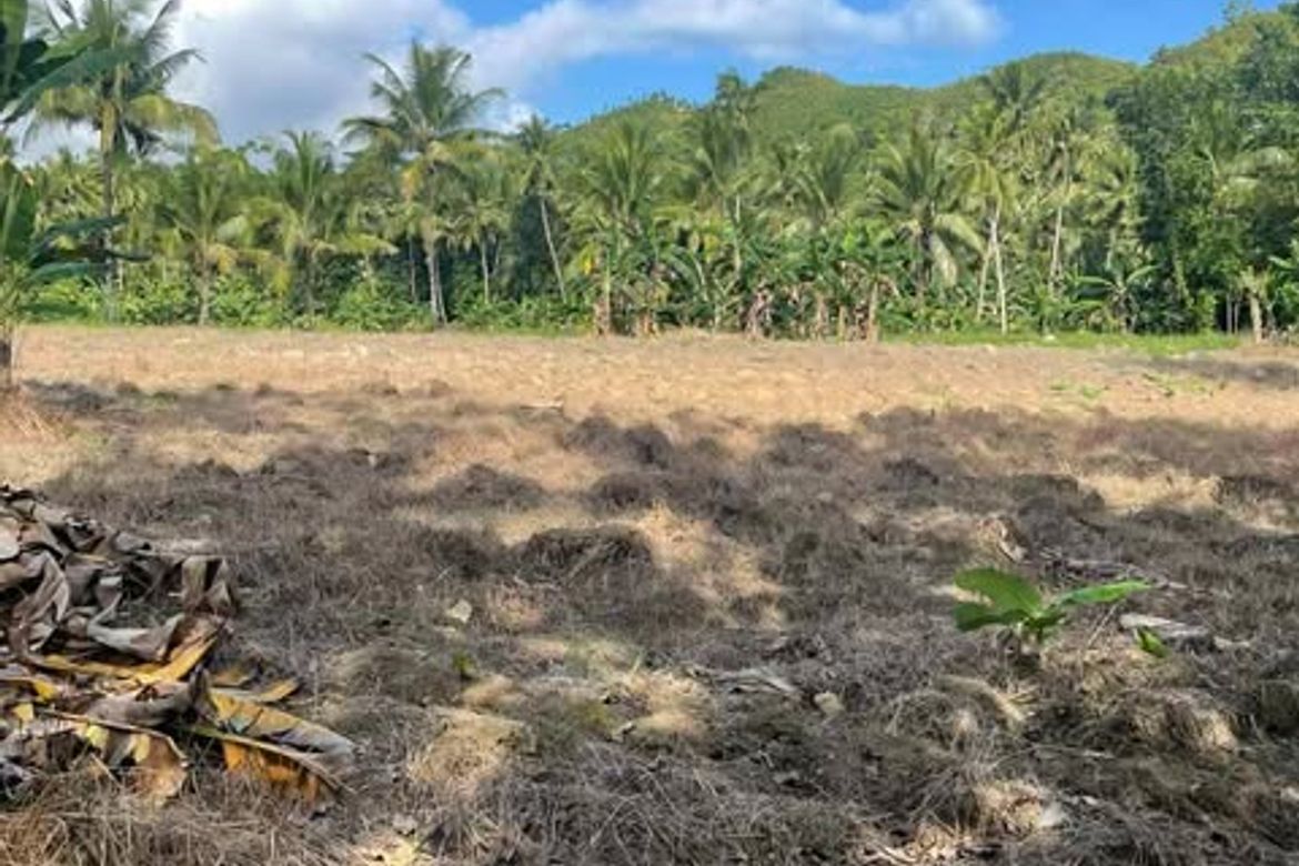 Land for Sale in Valencia, Carcar, Cebu – photo 5
