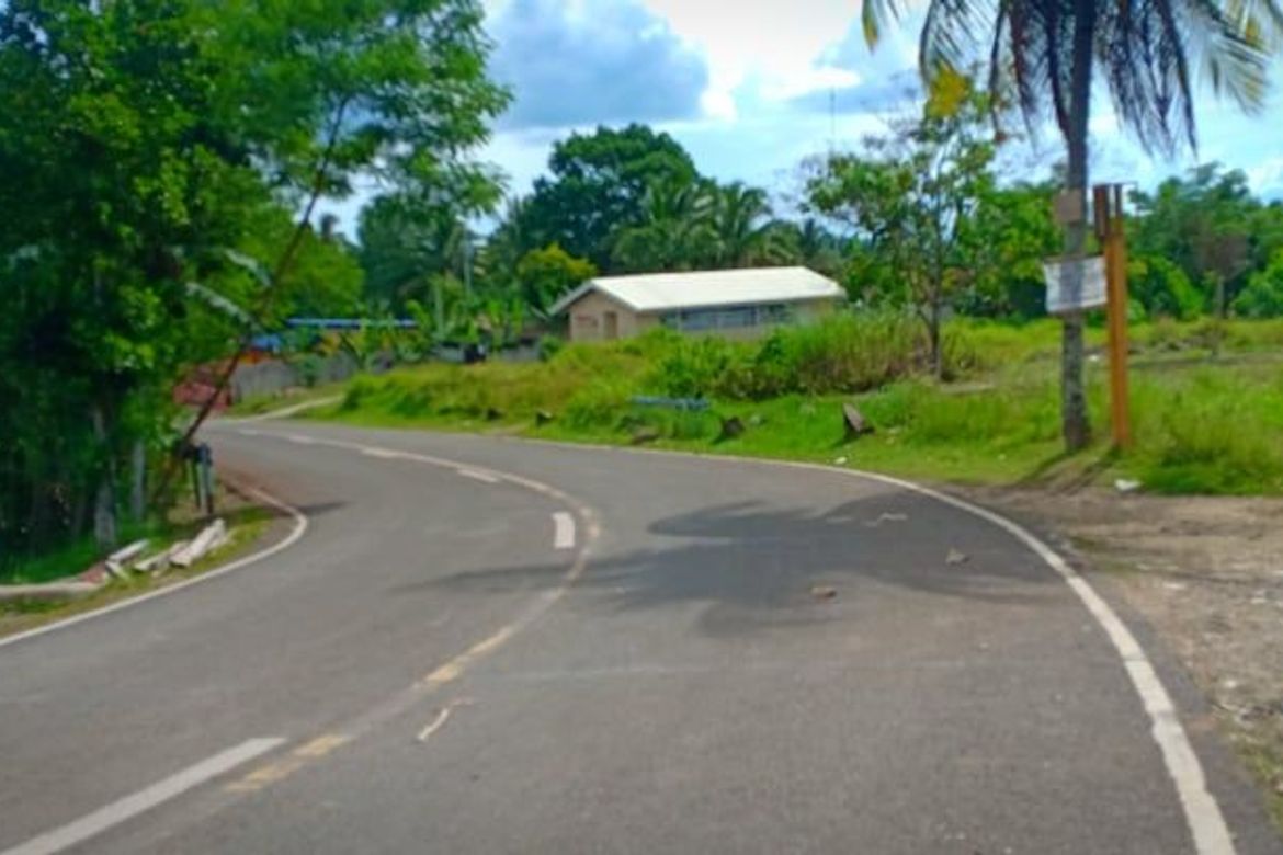 Land for Sale in Valencia, Carcar, Cebu – photo 2