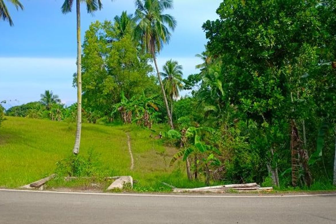 Land for Sale in Valencia, Carcar, Cebu – photo 3