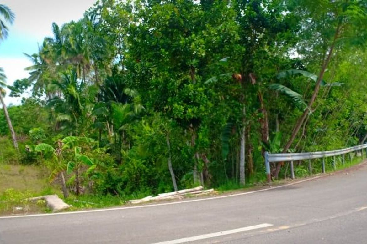Land for Sale in Valencia, Carcar, Cebu – photo 5