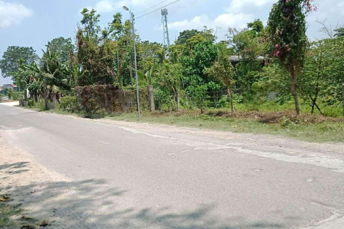 Land for Sale in Valladolid, Carcar, Cebu – photo 2