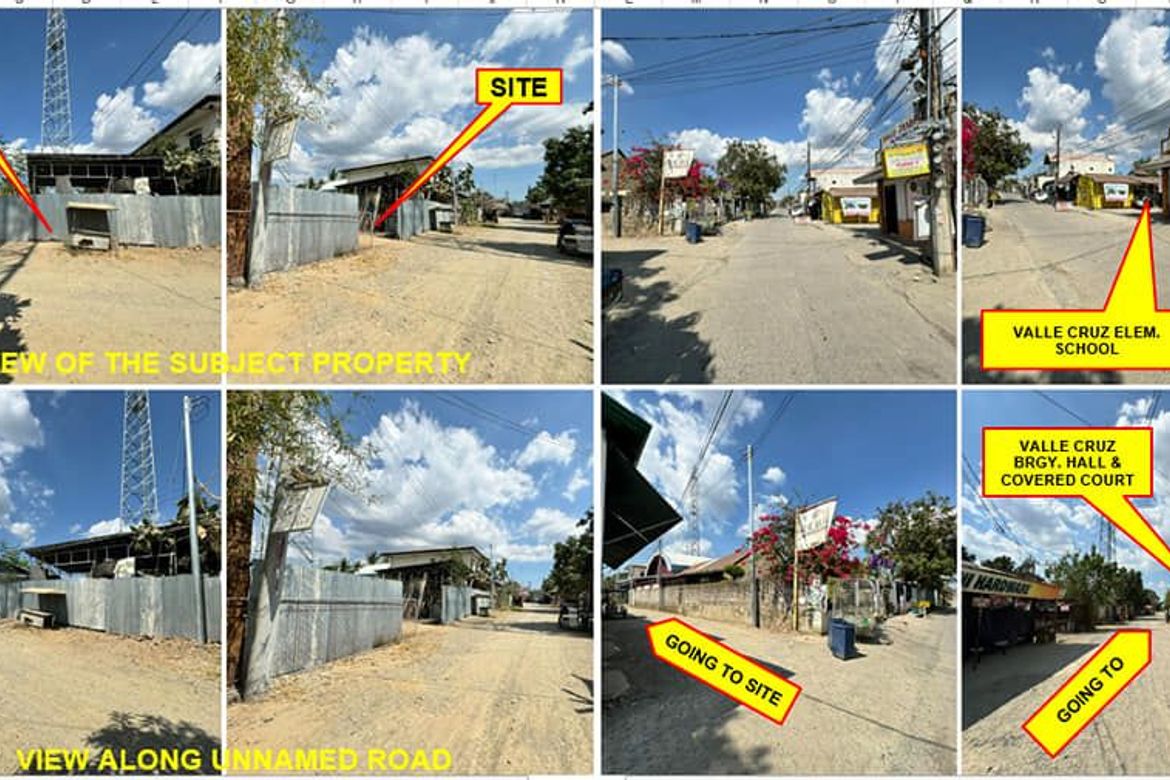 Land for Sale in Valle Cruz, Cabanatuan, Nueva Ecija