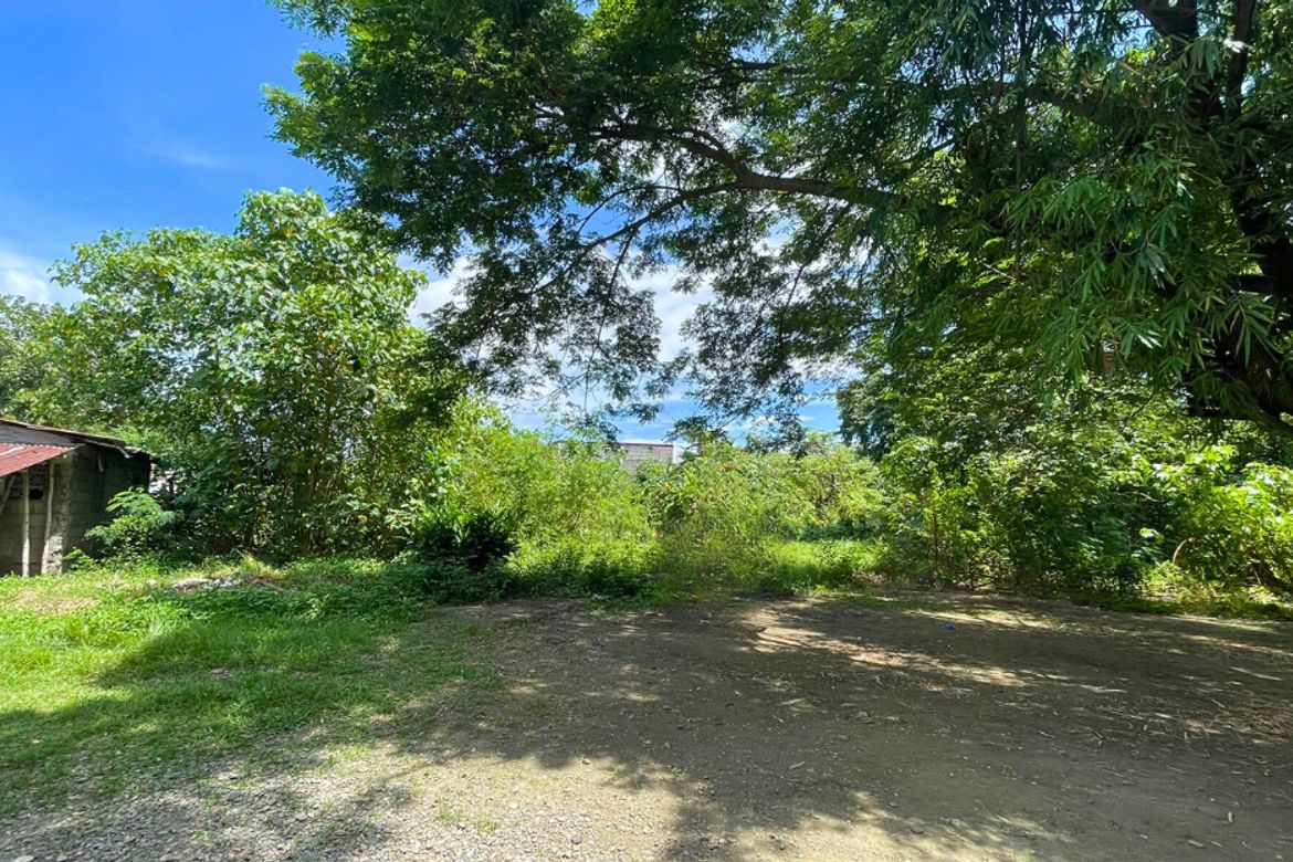 Land for Sale in Ventinilla, Santa Barbara, Pangasinan – photo 4