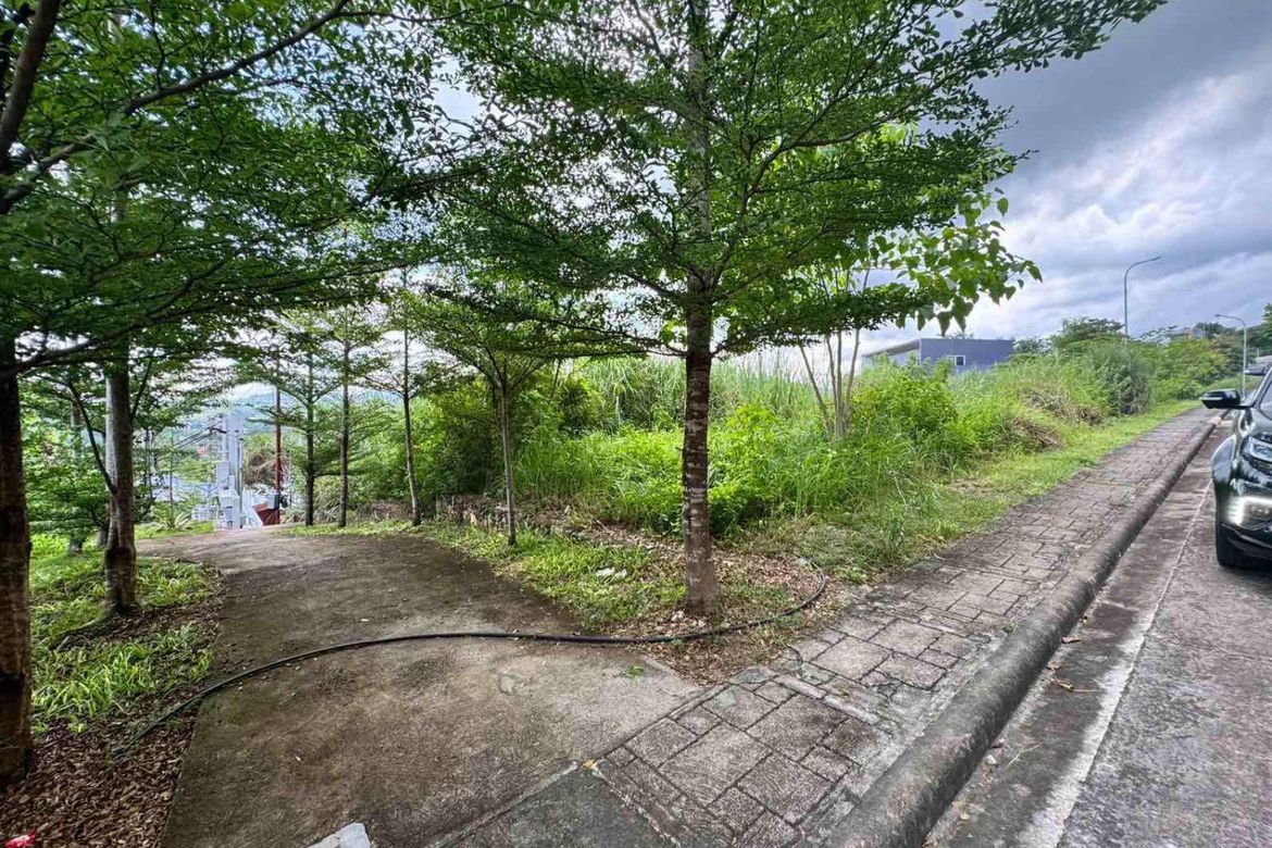 Land for Sale in VERA ESTATES, Umapad, Mandaue, Cebu – photo 5