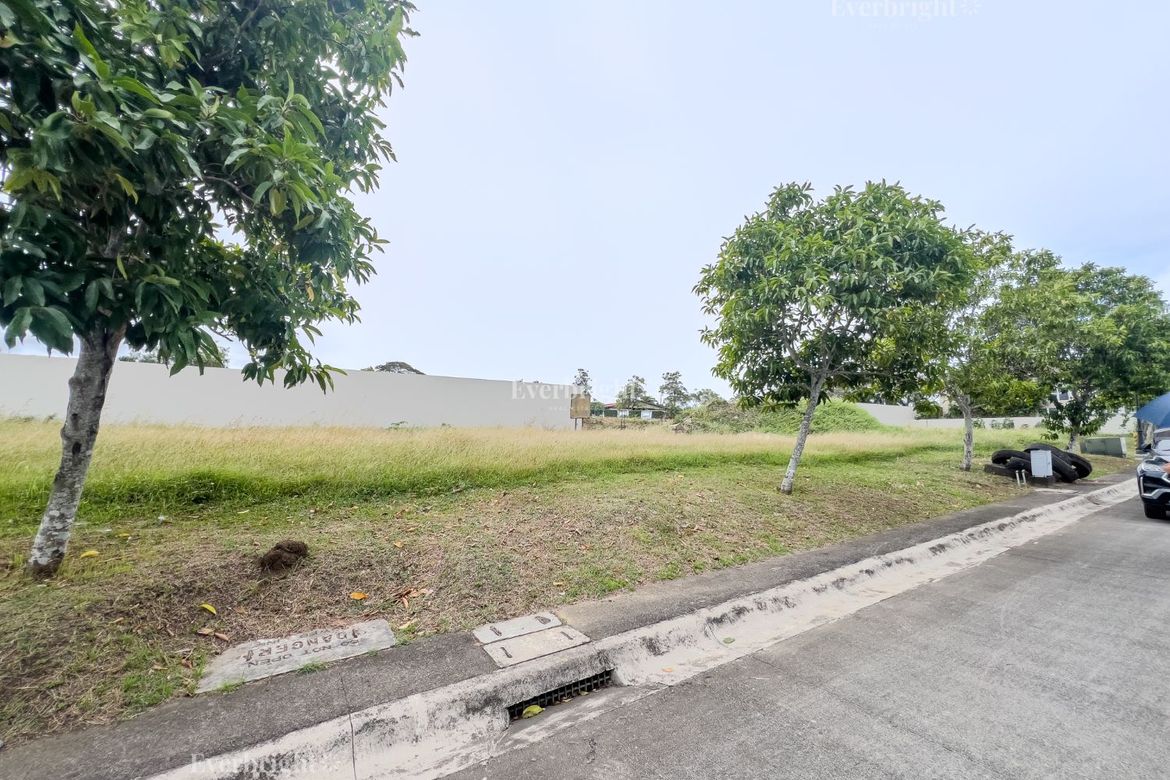 Land for Sale in Versailles Alabang Village, Almanza Dos, Las Piñas, Metro Manila