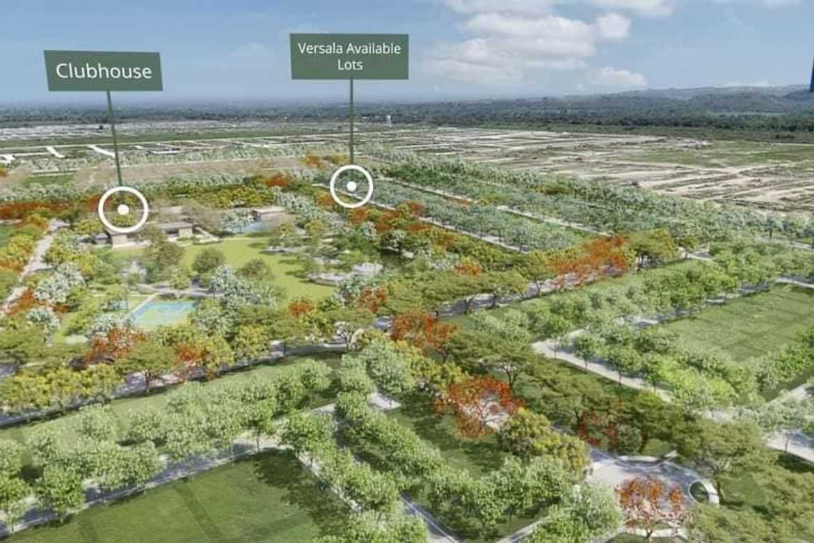 Land for Sale in Versala Alviera, Dolores, Porac, Pampanga – photo 6