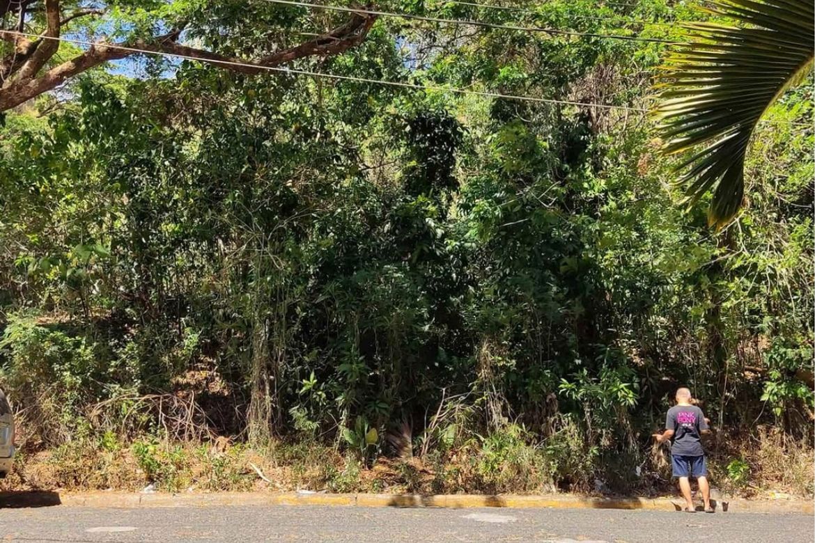 Land for Sale in Victoria Valley Subdivision, Dela Paz, Antipolo, Rizal – photo 3