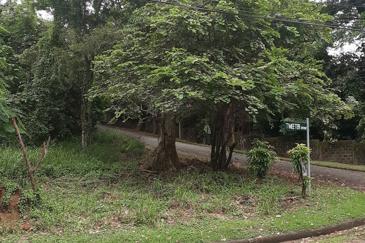 Land for Sale in Victoria Valley Subdivision, Dela Paz, Antipolo, Rizal