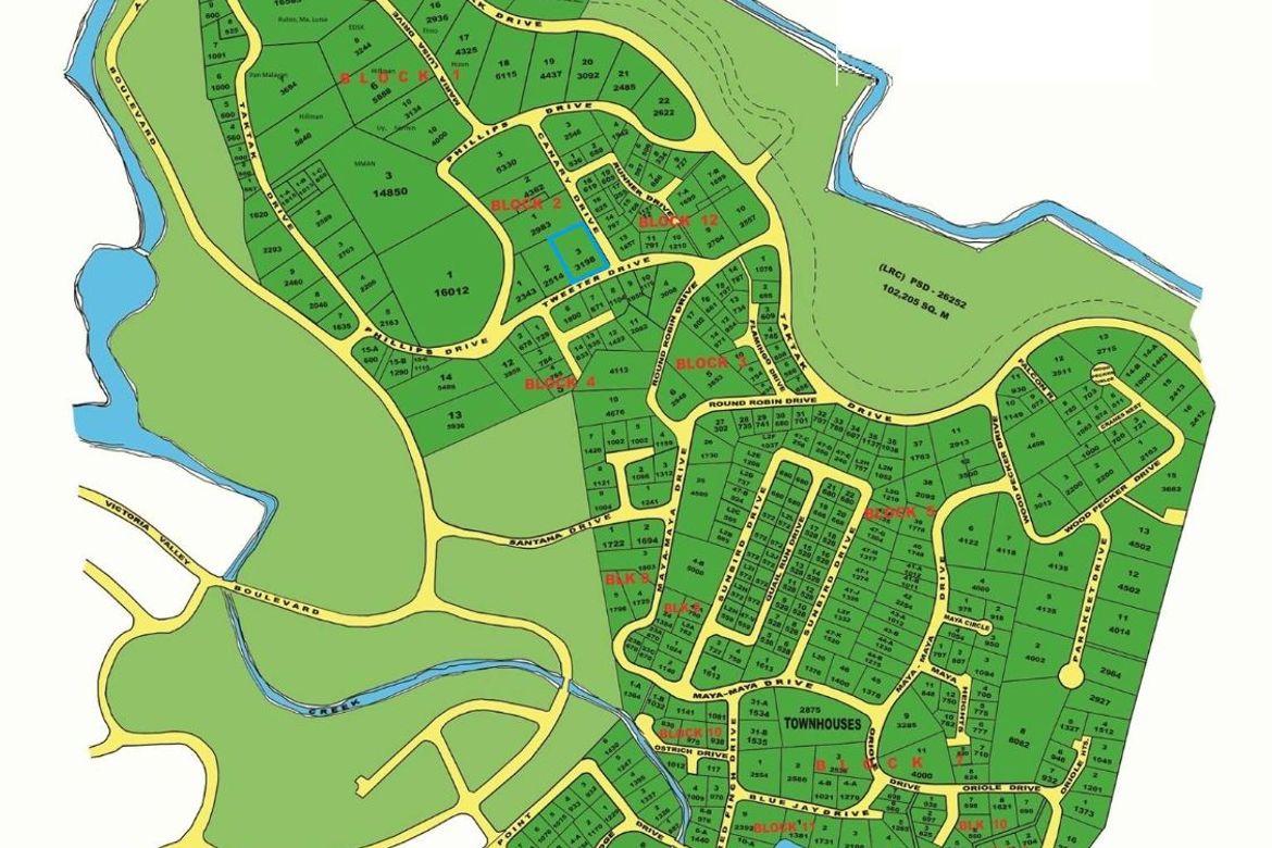 Land for Sale in Victoria Valley Subdivision, Dela Paz, Antipolo, Rizal – photo 4