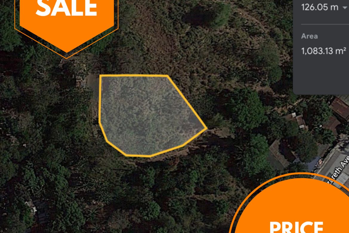 Land for Sale in Victoria Valley Subdivision, Dela Paz, Antipolo, Rizal