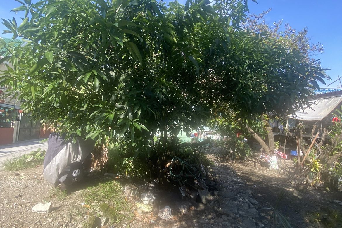 Land for Sale in Viente Reales, Valenzuela, Metro Manila – photo 3