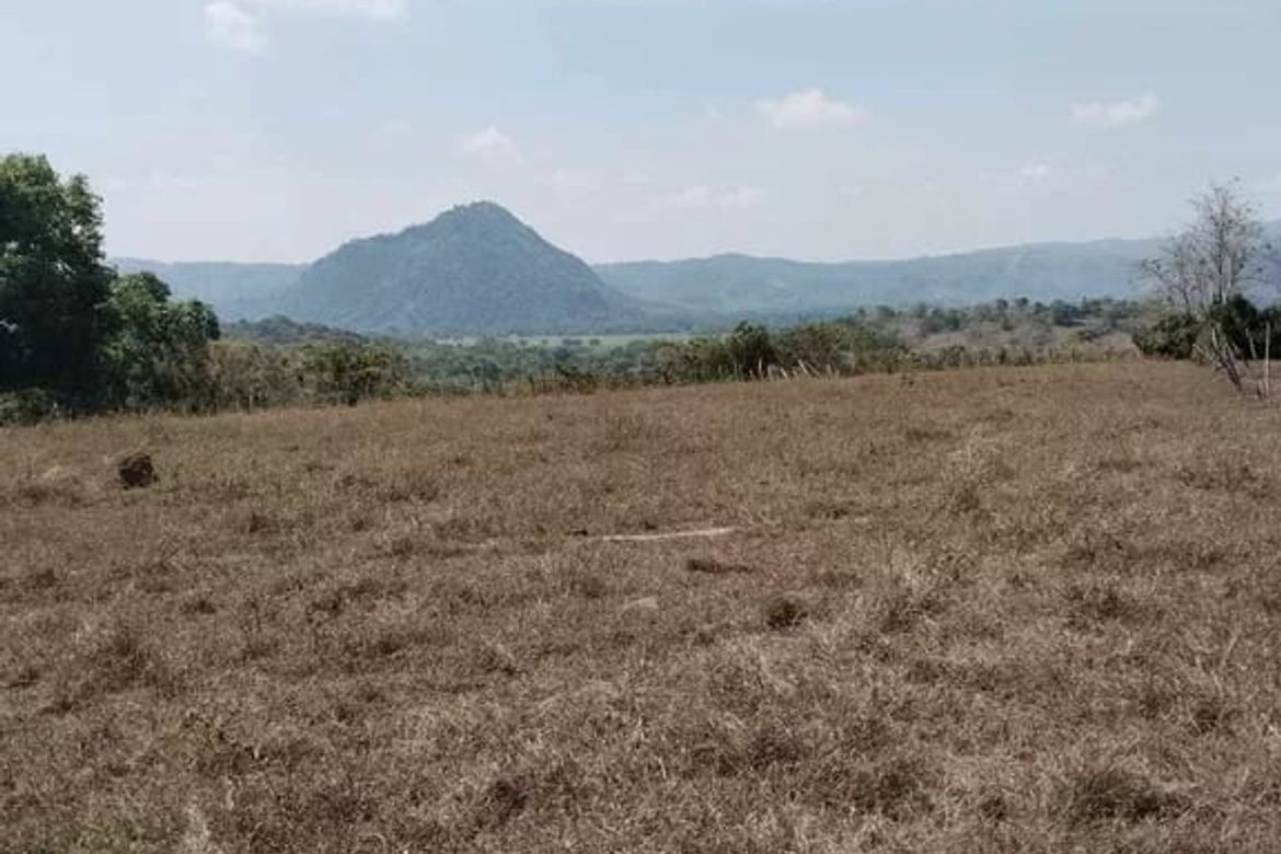 Land for Sale in Villa Aglipay, San Jose, Tarlac – photo 3