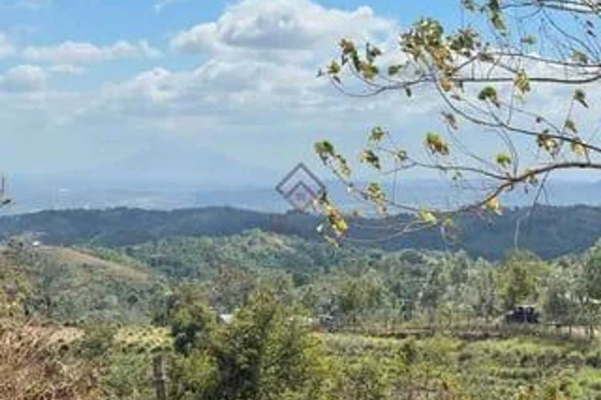 Land for Sale in Villa Aglipay, San Jose, Tarlac – photo 5