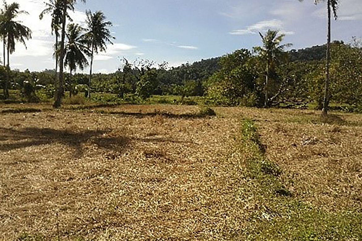 Land for Sale in Villa Libertad, El Nido, Palawan – photo 6