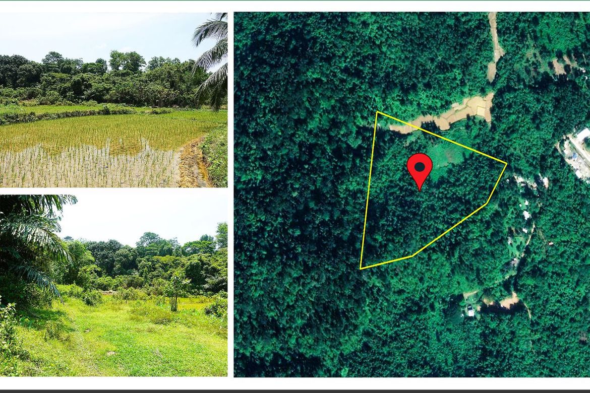 Land for Sale in Villa Libertad, El Nido, Palawan