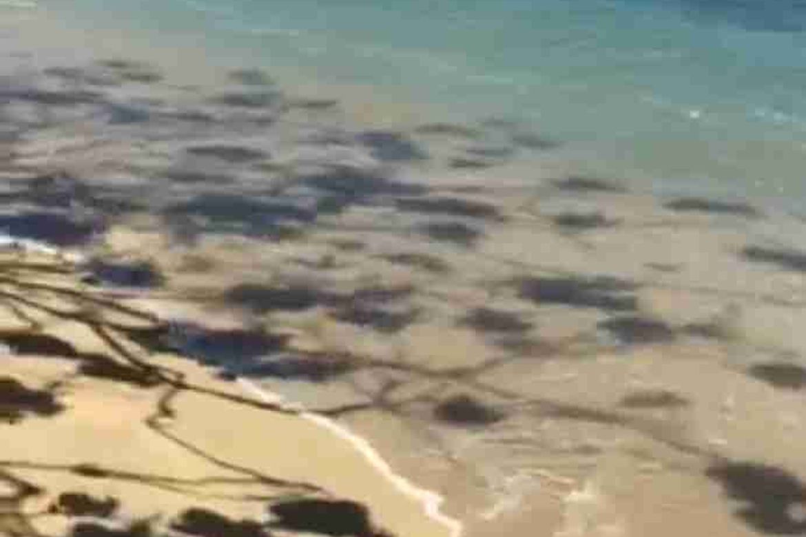 Land for Sale in Villa Libertad, El Nido, Palawan – photo 2