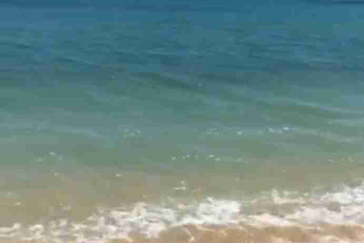 Land for Sale in Villa Libertad, El Nido, Palawan – photo 3