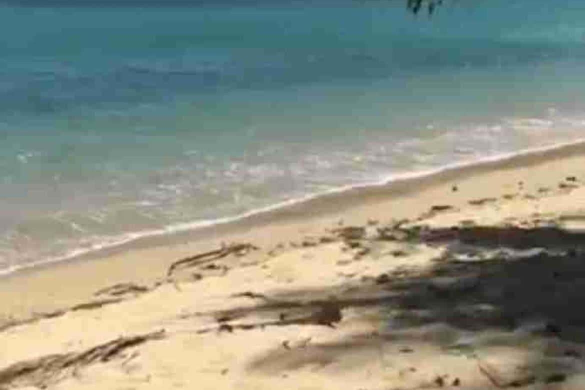 Land for Sale in Villa Libertad, El Nido, Palawan – photo 4