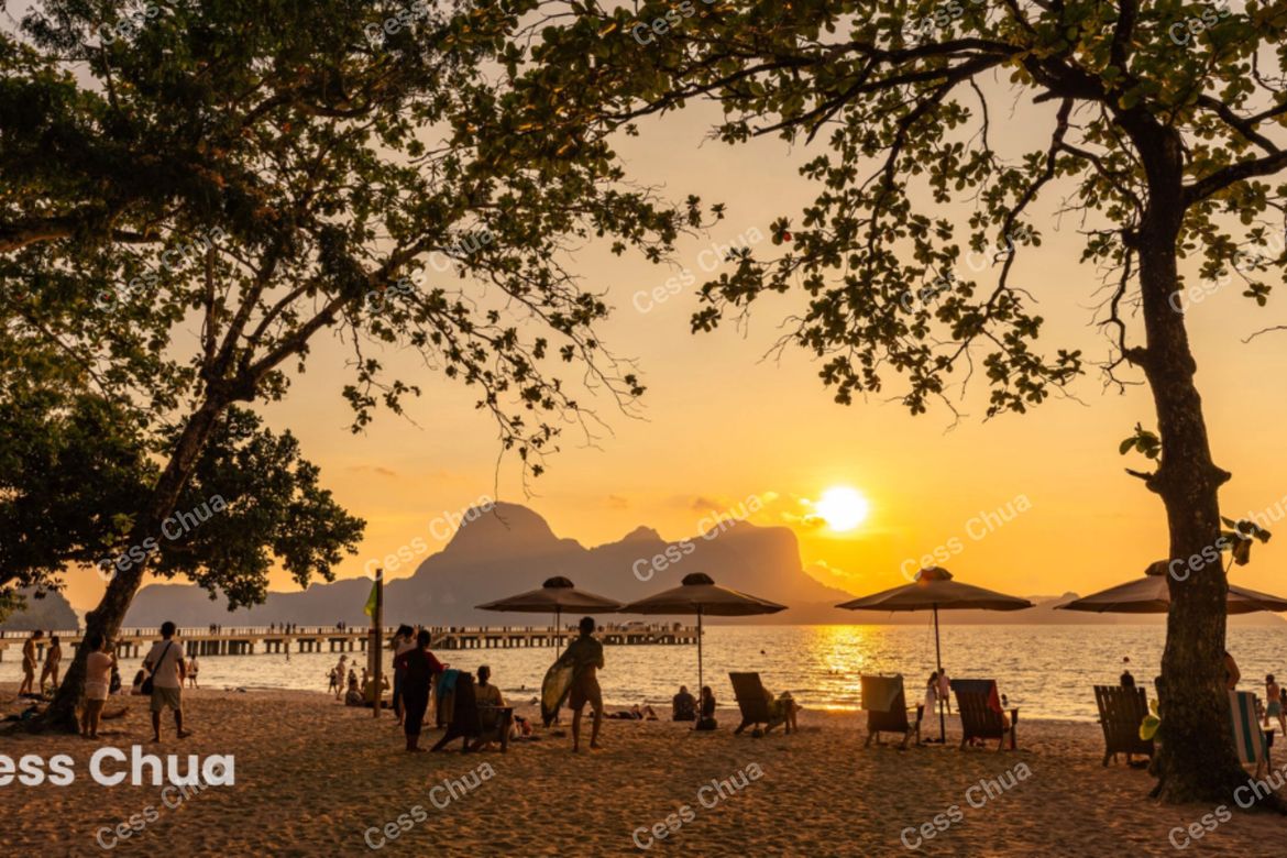 Land for Sale in Villa Libertad, El Nido, Palawan – photo 6