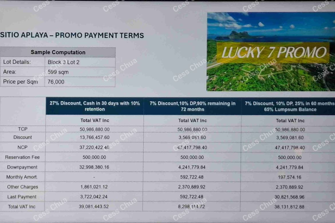 Land for Sale in Villa Libertad, El Nido, Palawan – photo 8