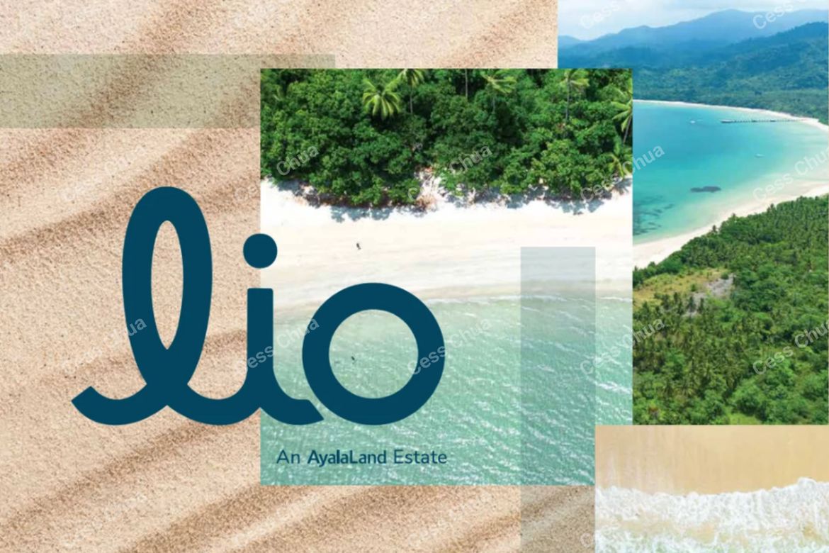 Land for Sale in Villa Libertad, El Nido, Palawan – photo 10