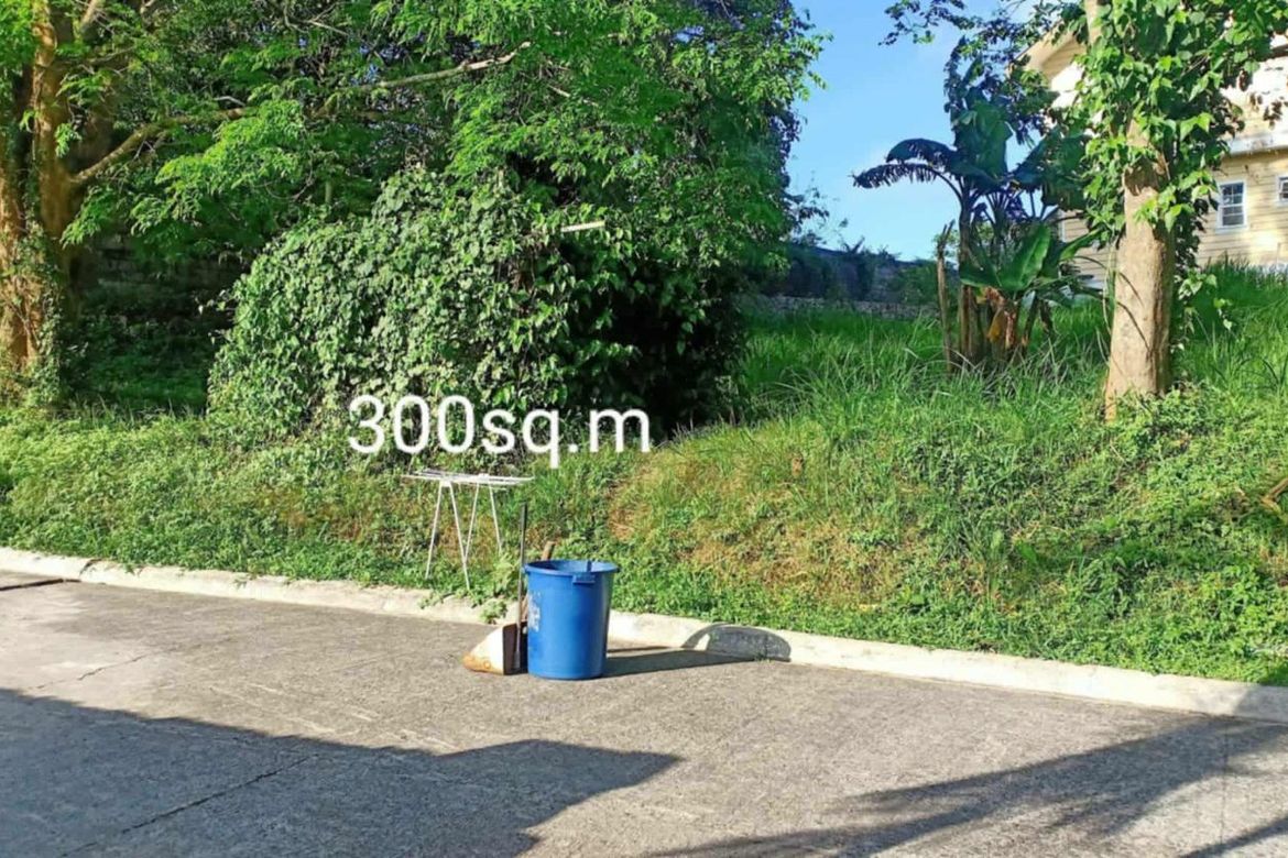 Land for Sale in Villa Mendez, Asisan, Tagaytay, Cavite