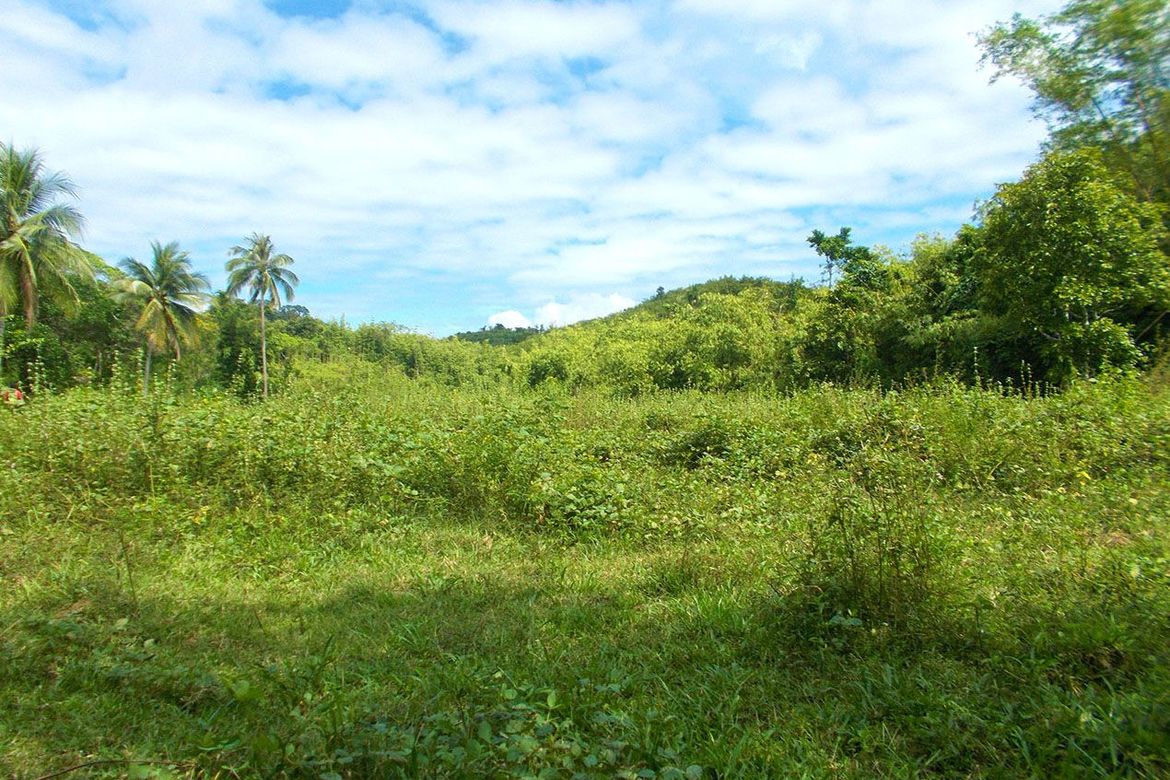 Land for Sale in Villa Paz, El Nido, Palawan – photo 2