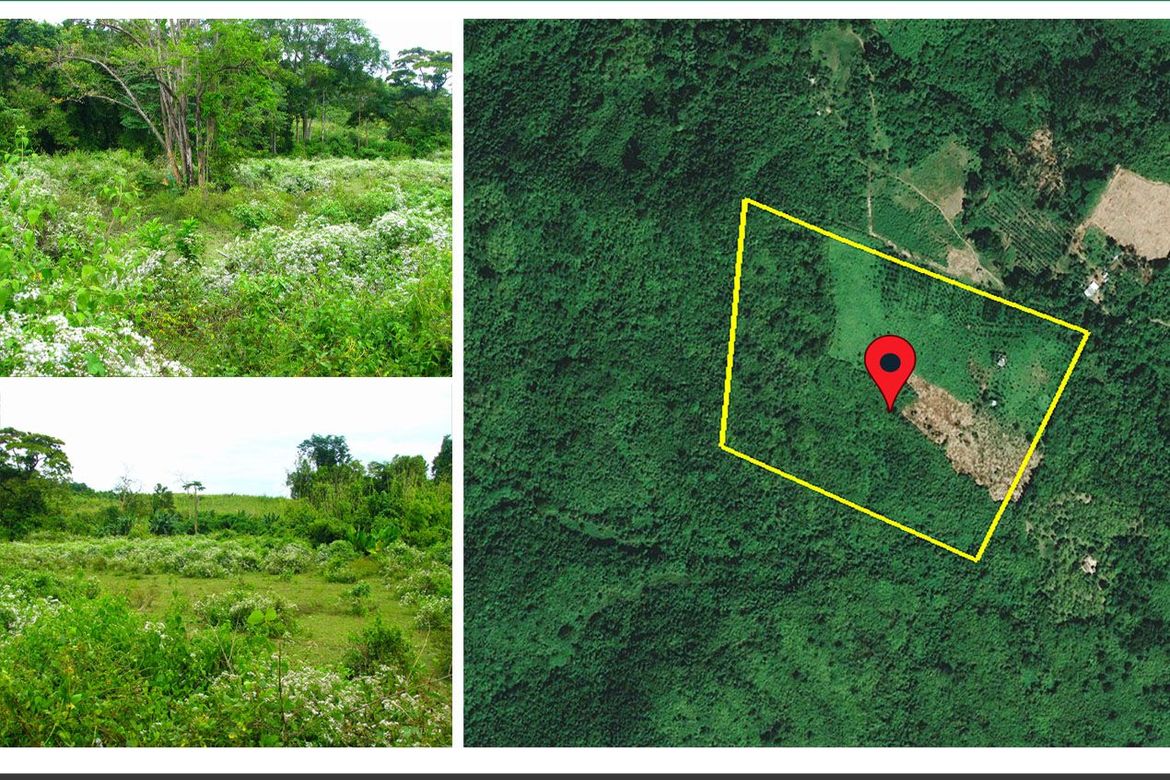 Land for Sale in Villa Paz, El Nido, Palawan
