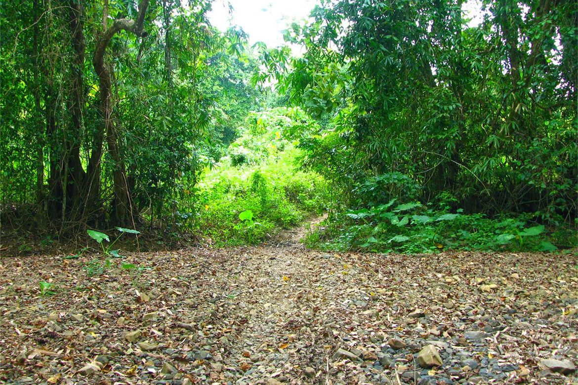 Land for Sale in Villa Paz, El Nido, Palawan – photo 5