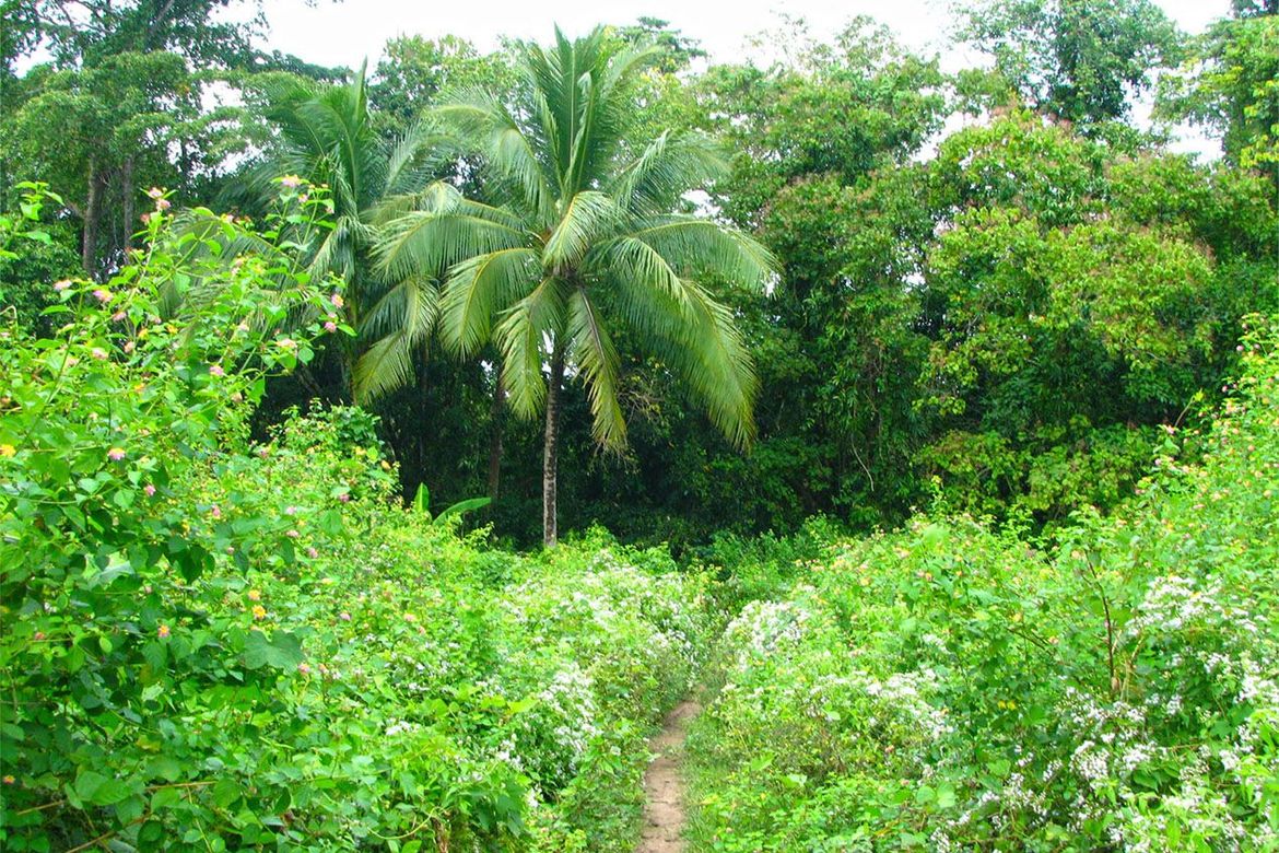 Land for Sale in Villa Paz, El Nido, Palawan – photo 6