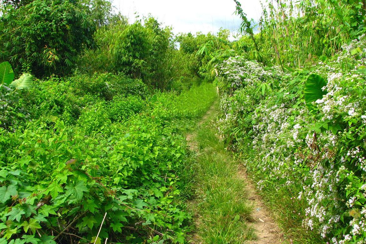 Land for Sale in Villa Paz, El Nido, Palawan – photo 7