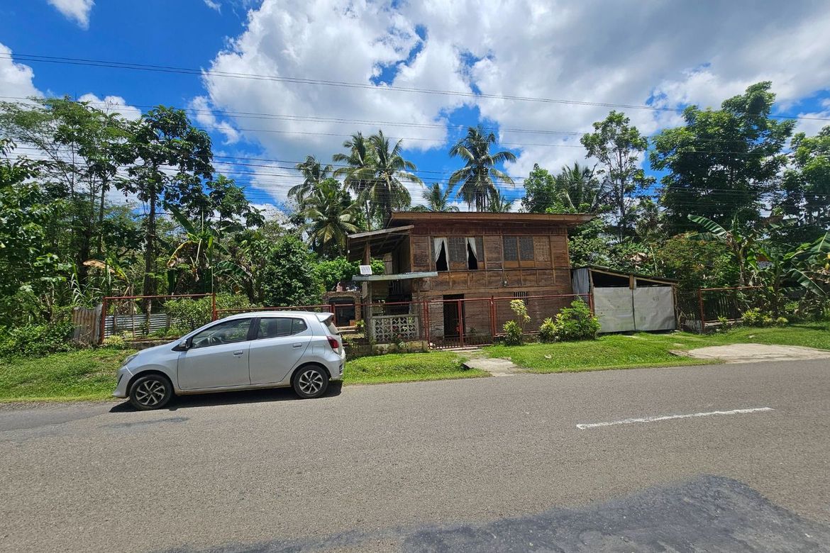 Land for Sale in Villa Suerte, Bilar, Bohol
