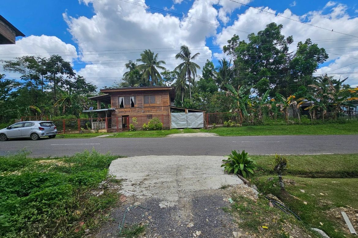 Land for Sale in Villa Suerte, Bilar, Bohol – photo 2