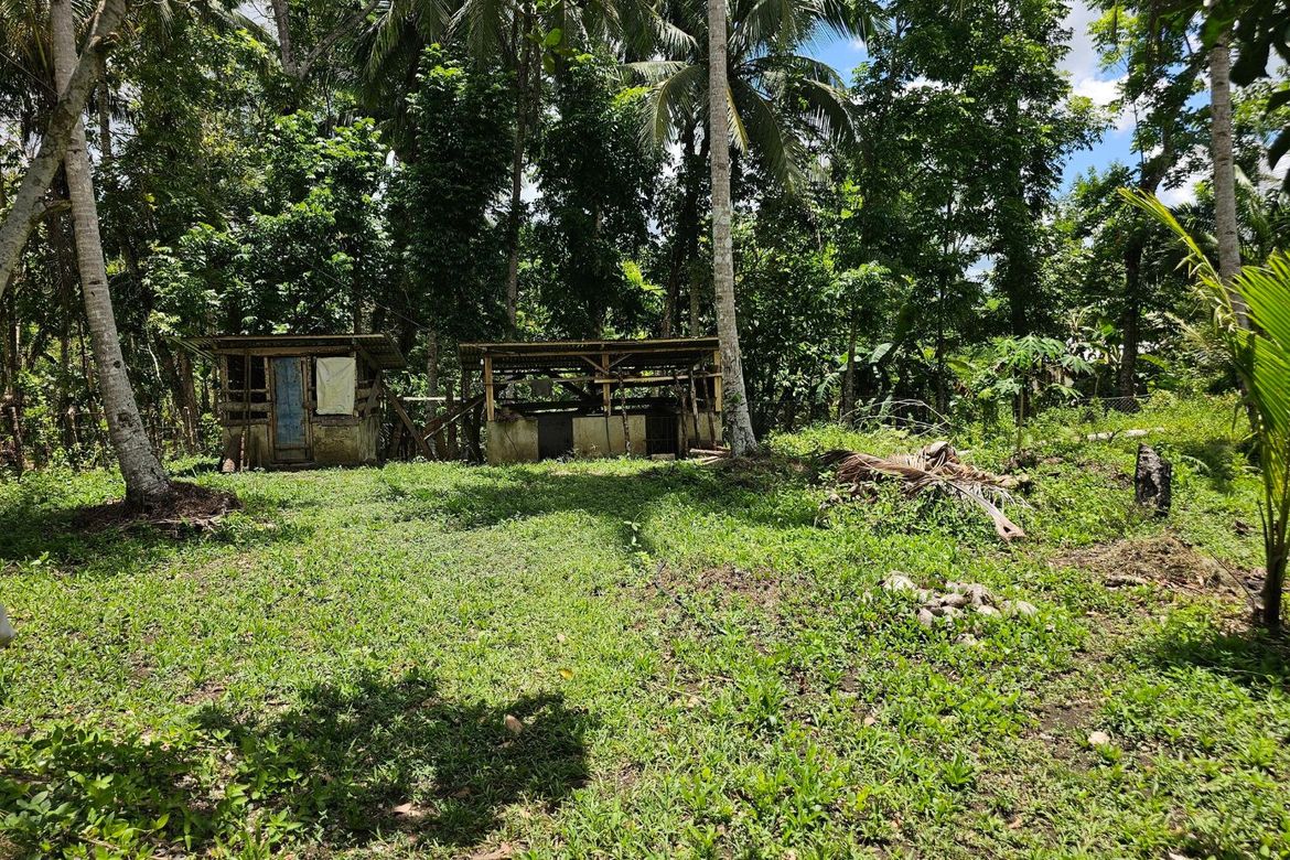 Land for Sale in Villa Suerte, Bilar, Bohol – photo 4