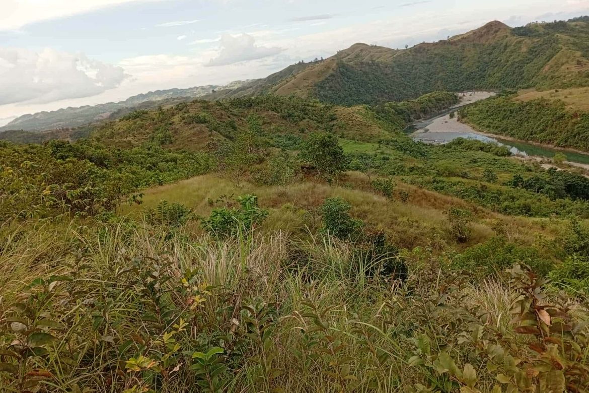 Land for Sale in Villacorta, Mabini, Pangasinan – photo 3