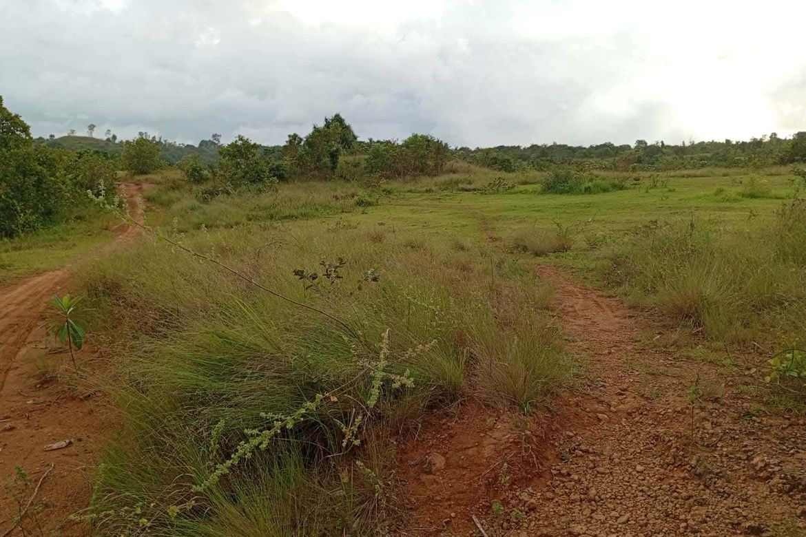 Land for Sale in Villacorta, Mabini, Pangasinan – photo 6