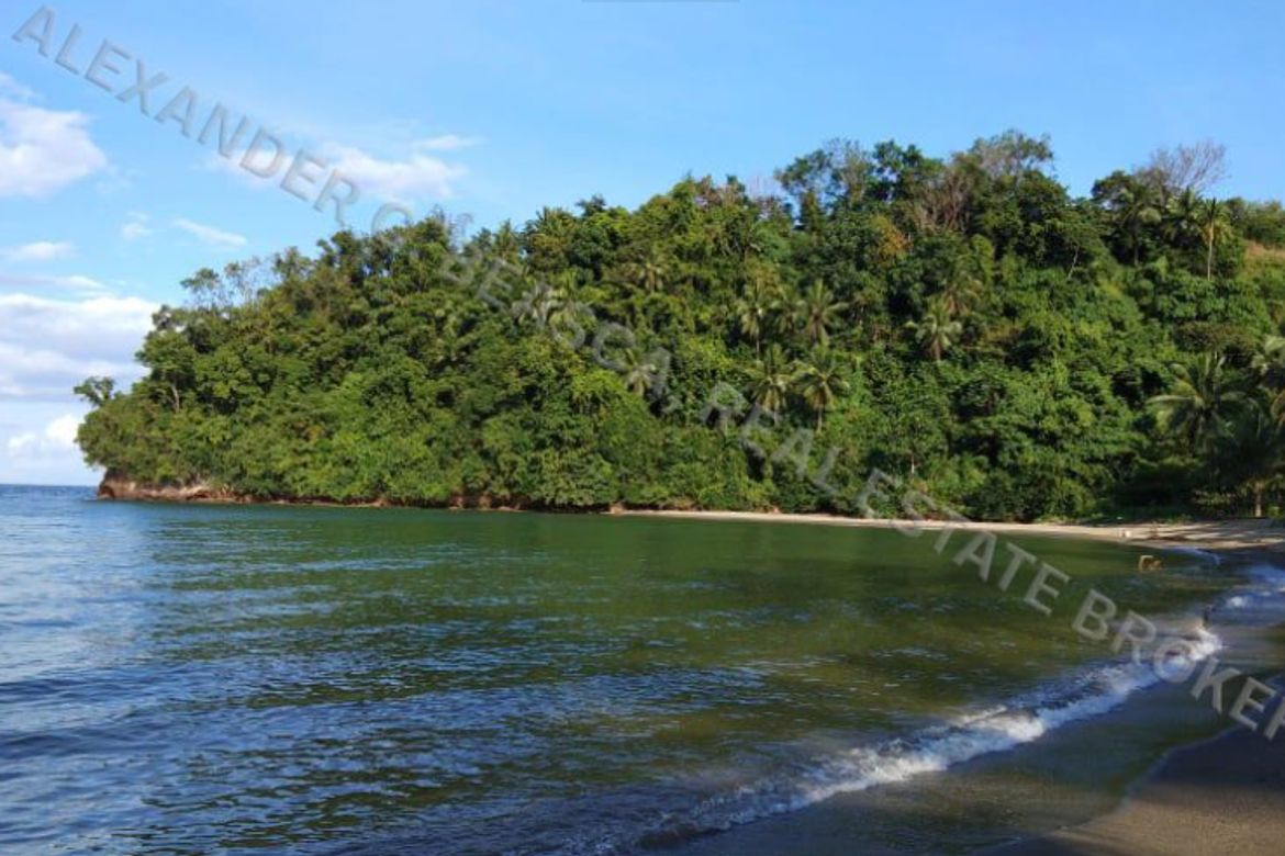 Land for Sale in Villaflor, Puerto Galera, Oriental Mindoro – photo 2