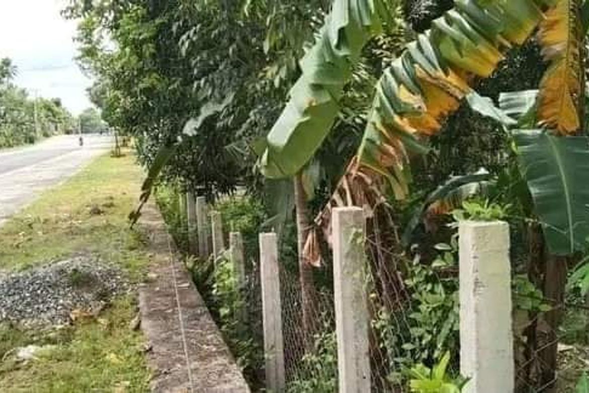 Land for Sale in Villahermosa, Tabuelan, Cebu – photo 3