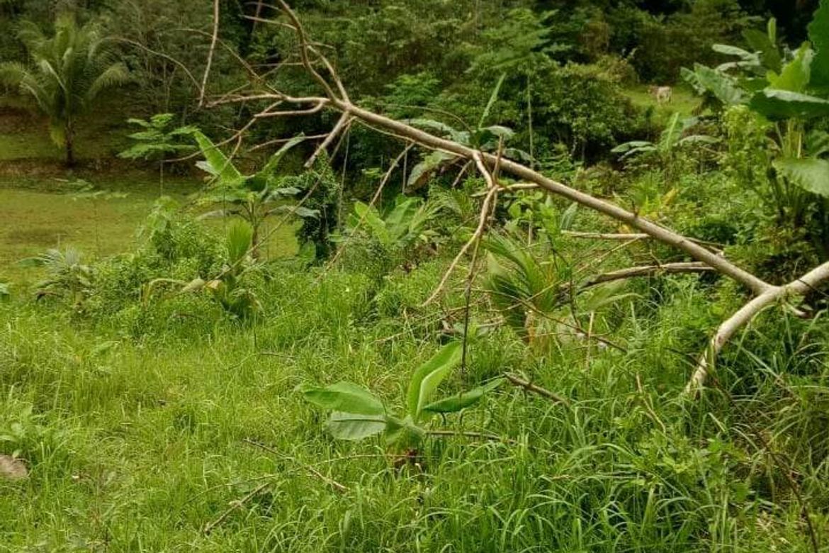Land for Sale in Villahermosa, Tabuelan, Cebu – photo 5