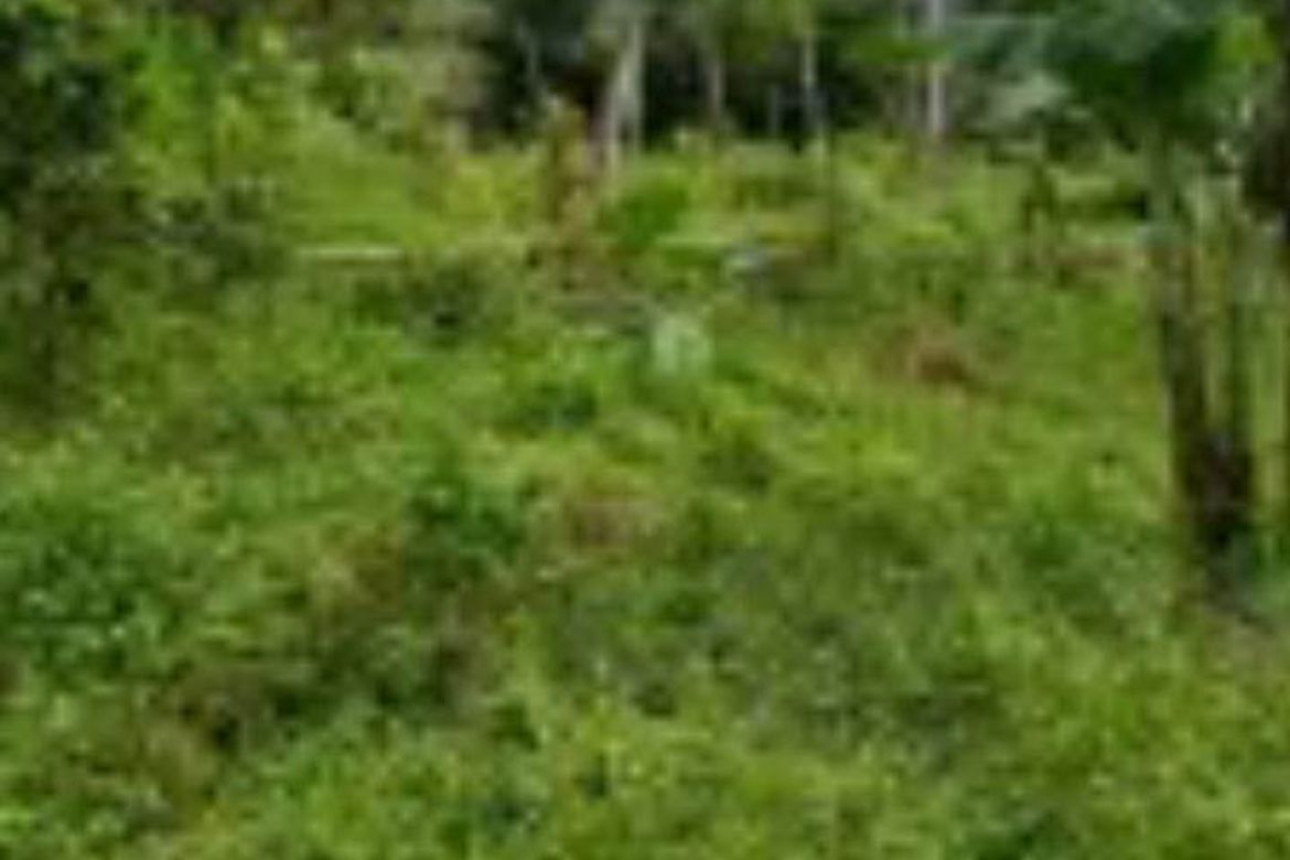 Land for Sale in Villahermosa, Tabuelan, Cebu – photo 7