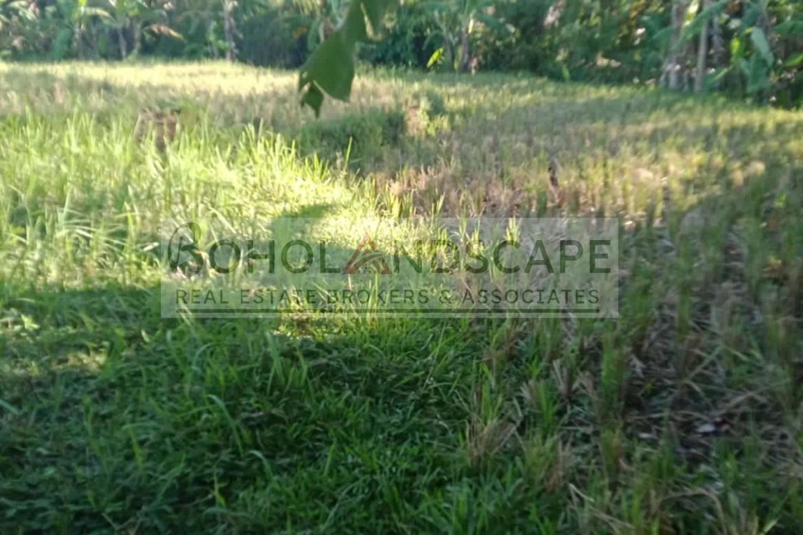 Land for Sale in Villarcayo, Carmen, Bohol – photo 3