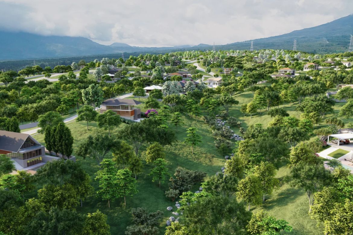 Land for Sale in Virendo, Bato, Davao City, Davao del Sur – photo 7