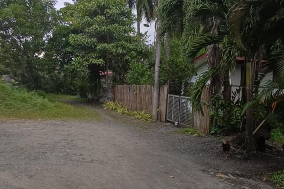 Land for Sale in Visayan Village, Tagum, Davao del Norte – photo 2