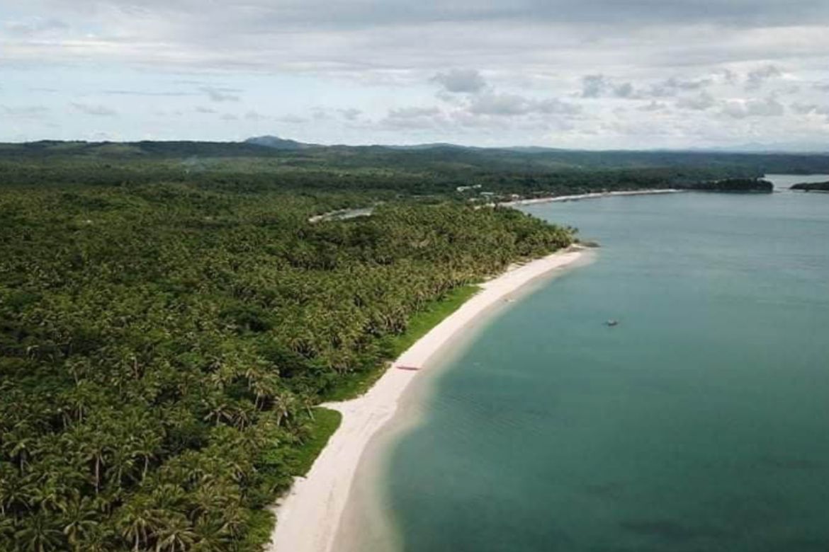 Land for Sale in Vito, Siruma, Camarines Sur – photo 5