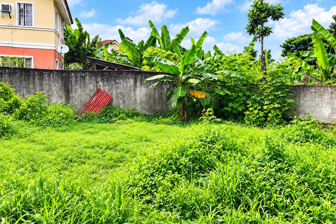 Land for Sale in Vittoria Subdivision, Basak, Lapu-Lapu, Cebu – photo 4