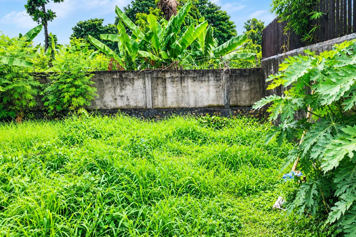 Land for Sale in Vittoria Subdivision, Basak, Lapu-Lapu, Cebu – photo 5